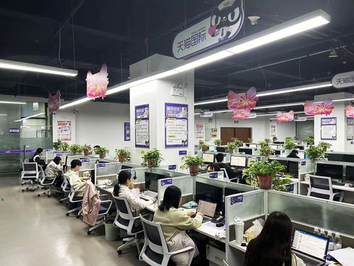 揚州天貓國際自營服務(wù)中心迎咨詢高峰，300名大學(xué)生支援客服工作