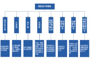 國有資產(chǎn)管理處簡介
