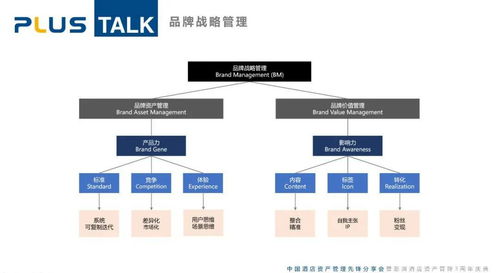 plus talk 資管角度的品牌能力構建 葉松